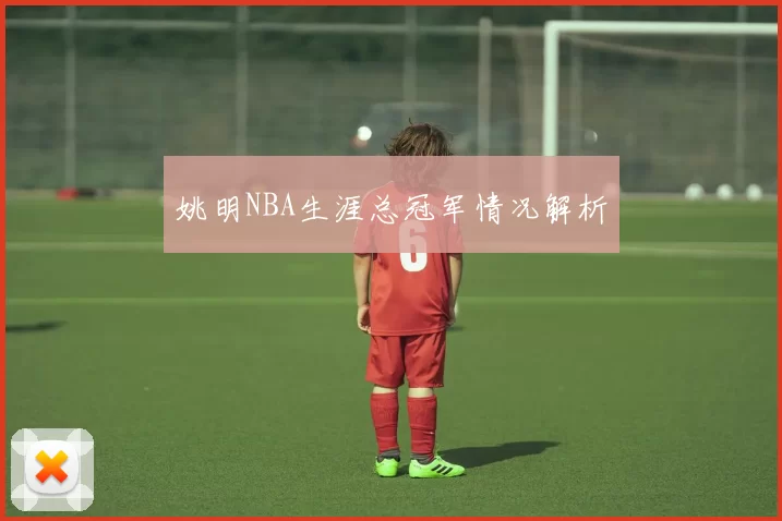 姚明NBA生涯总冠军情况解析