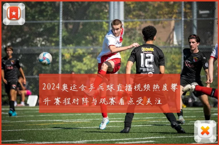 2024奥运会乒乓球直播视频热度攀升 赛程对阵与观赛看点受关注